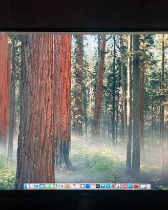 Dell Monitor 27 Pollici Quad HD LED  -DELL-S2722DC