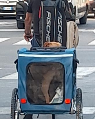 trasportino cani  per bici .fino a 40 kg