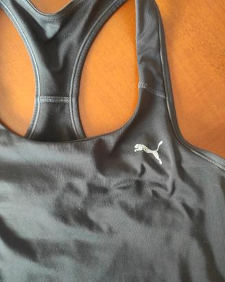 Top sportivo