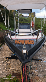 Saver honda bf40e 2016