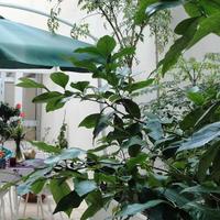 Da fine Marzo disponibile transitorio a Brindisi