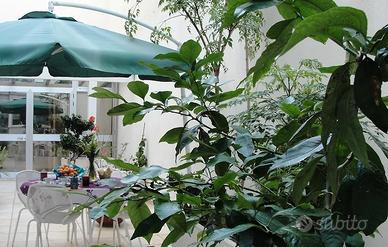 Da fine Marzo disponibile transitorio a Brindisi