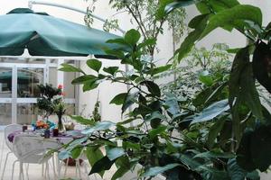 Da fine Marzo disponibile transitorio a Brindisi