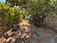 Immagine 27