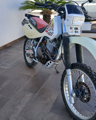 Honda Xr