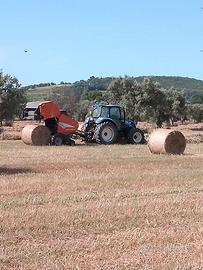 Rotoli D'Avena