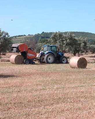 Rotoli D'Avena