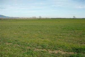 Terreno di 118000 m² a Annicco