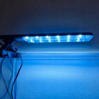 lampada per acquario acquaterrario