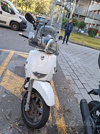 Piaggio Aprilia Scarabeo 500