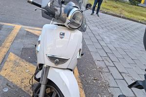 Piaggio Aprilia Scarabeo 500