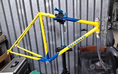 Telai bici da corsa
