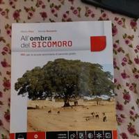 libro all'ombra del sicomoro 