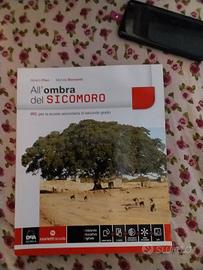 libro all'ombra del sicomoro 