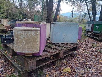 Arniette polistirolo e attrezzatura apicoltura