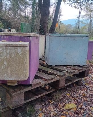 Arniette polistirolo e attrezzatura apicoltura