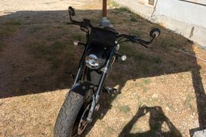Benda chichilla 500