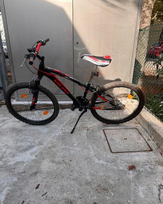 Bici MTB Vicini 24 bambino
