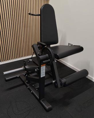 Leg Extension Leg curl Carico Libero Palestra