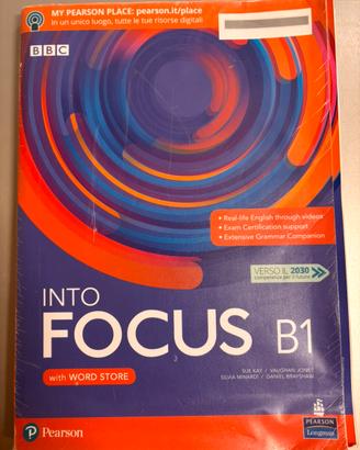 Into Focus B1