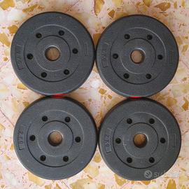 Dischi 2 kg foro 26 mm