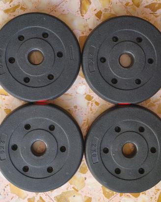 Dischi 2 kg foro 26 mm