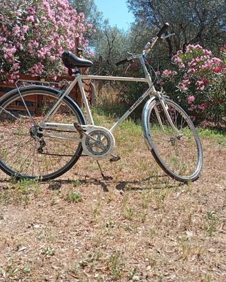 Bicicletta Bianchi 28''