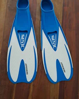 pinne marca seac 36 37
