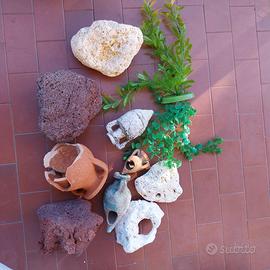 arredo acquario d'acqua dolce