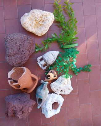 arredo acquario d'acqua dolce