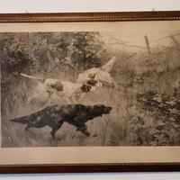 Fotoincisione Thomas Blinks / Steady!

