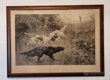 Fotoincisione Thomas Blinks / Steady!

