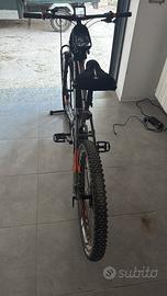 Bottecchia elektron