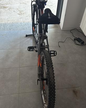 Bottecchia elektron