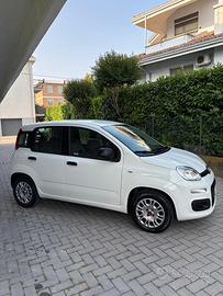 Fiat Panda lounge