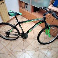 Bicicletta Mountain bike 26 gfm