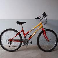 BICICLETTA MTB OLMO 24"