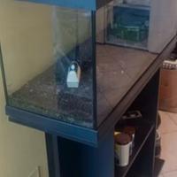 acquario con mobiletto 