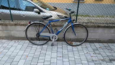 Bicicletta da città