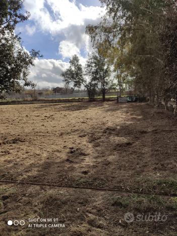 Terreno agricolo di 2700 mq a Varcaturo