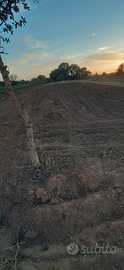 Nettuno Via Cadolino, 75 Terreno agricolo