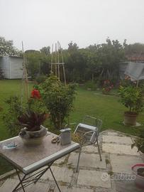 Terreno situato in Località Giannella