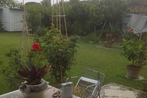 Terreno situato in Località Giannella