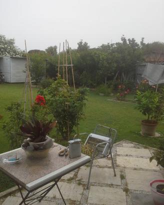 Terreno situato in Località Giannella
