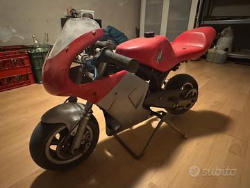 Minimoto polini