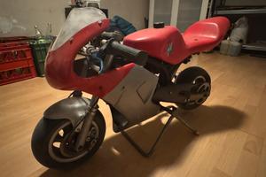 Minimoto polini