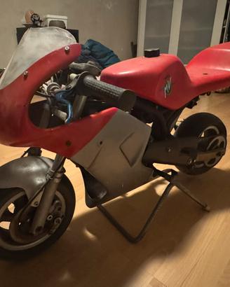 Minimoto polini
