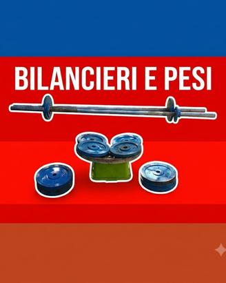 Bilancieri e dischi