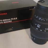 Sigma 70-300