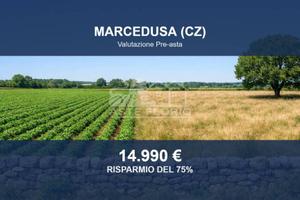 Immobile in asta di 21290 m² a Marcedusa